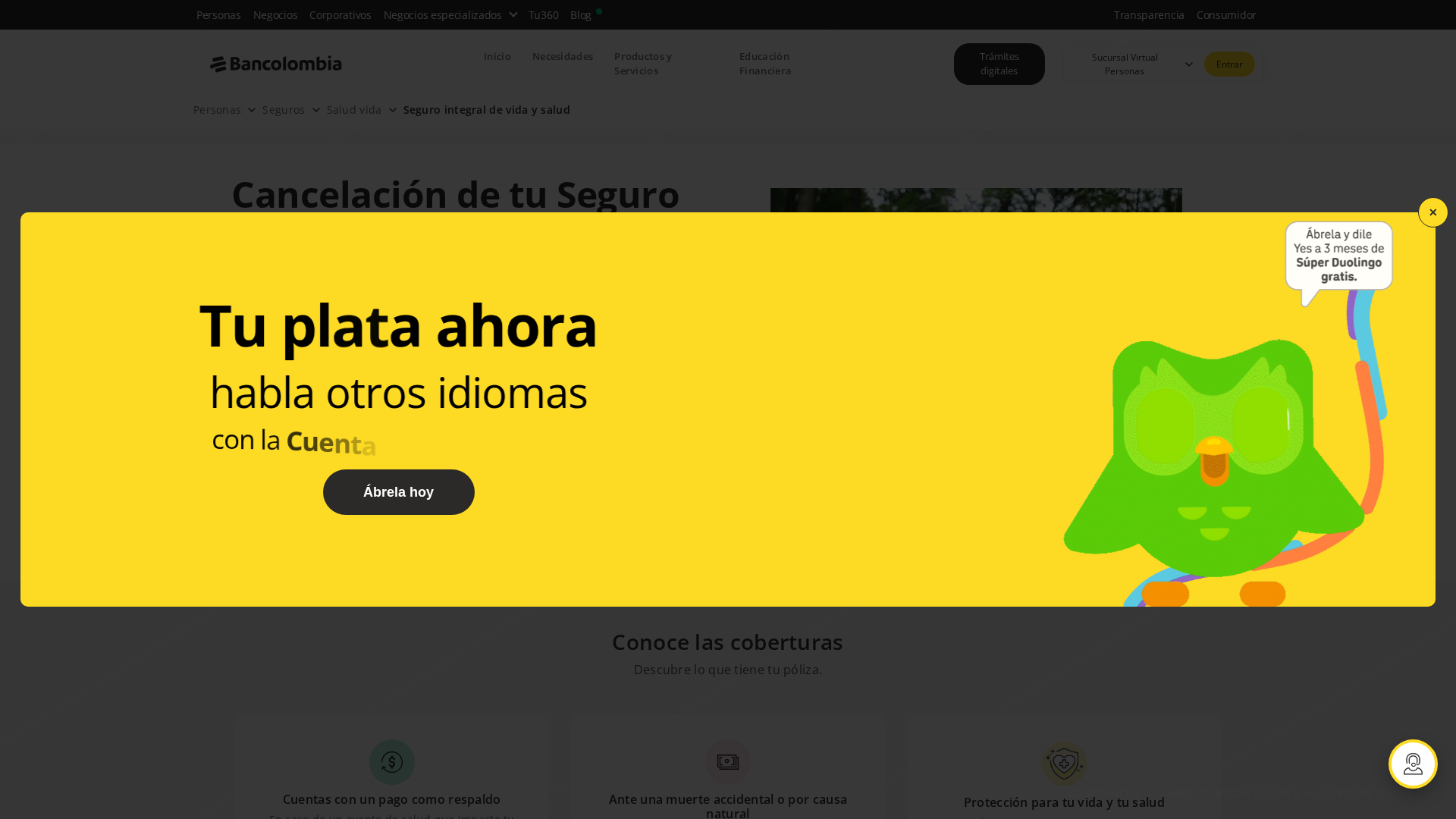 Screenshot of www.finacink.com