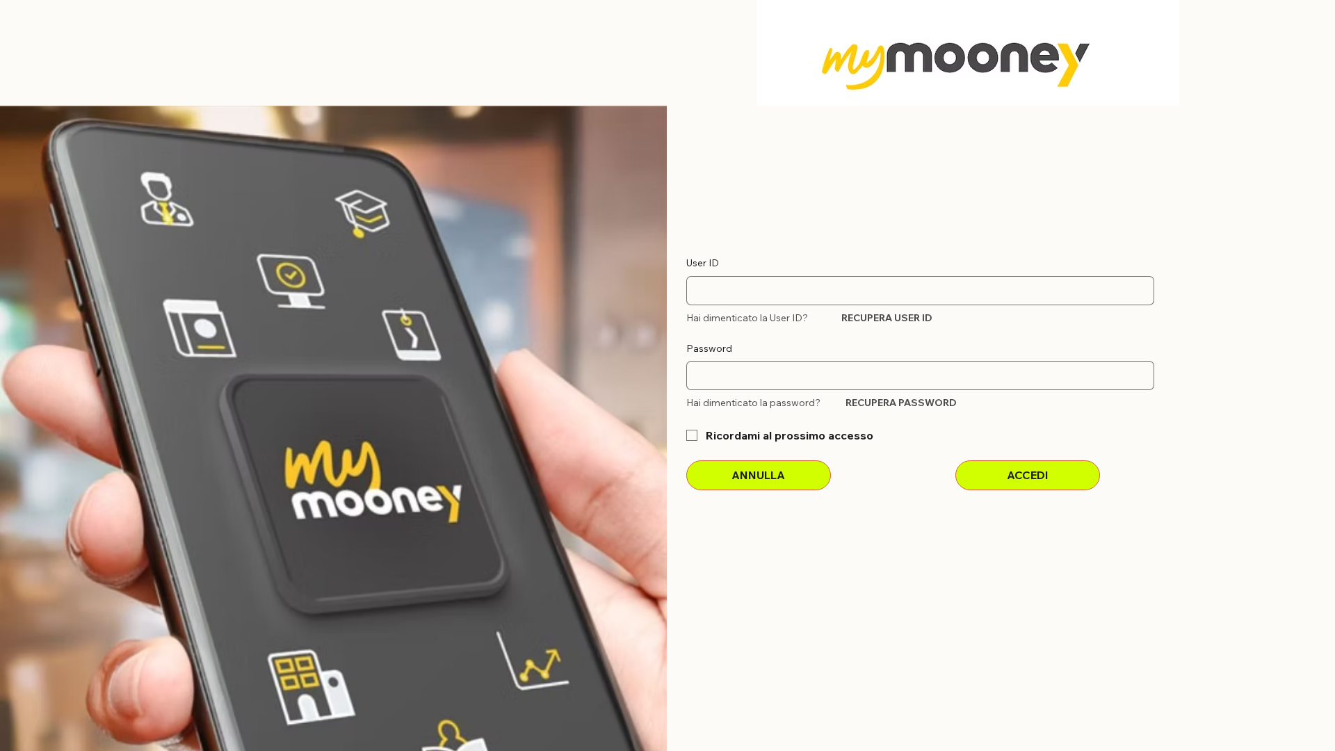 Screenshot of www.rivenditorimooney.info