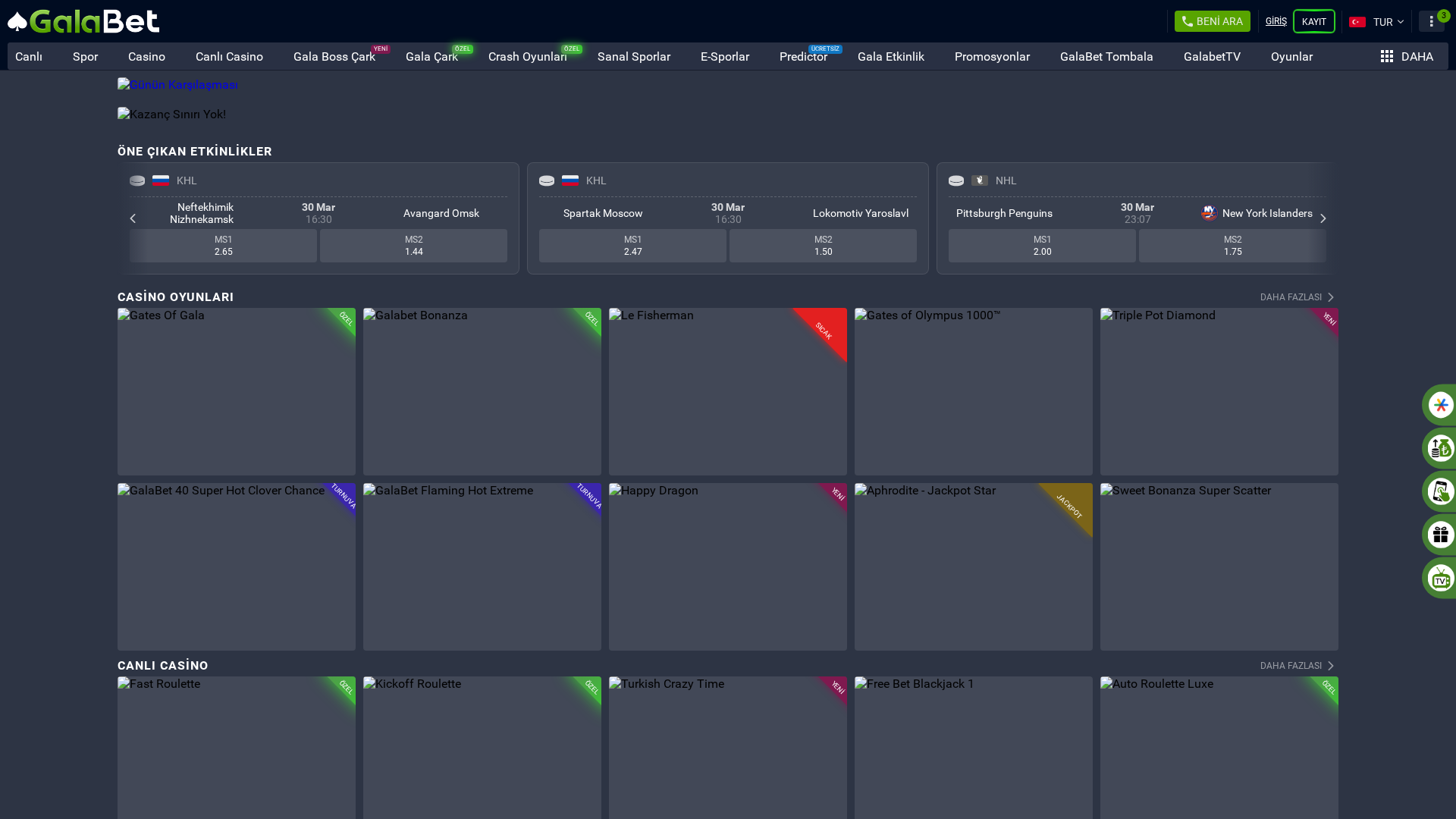 Screenshot of gallabet1066.com