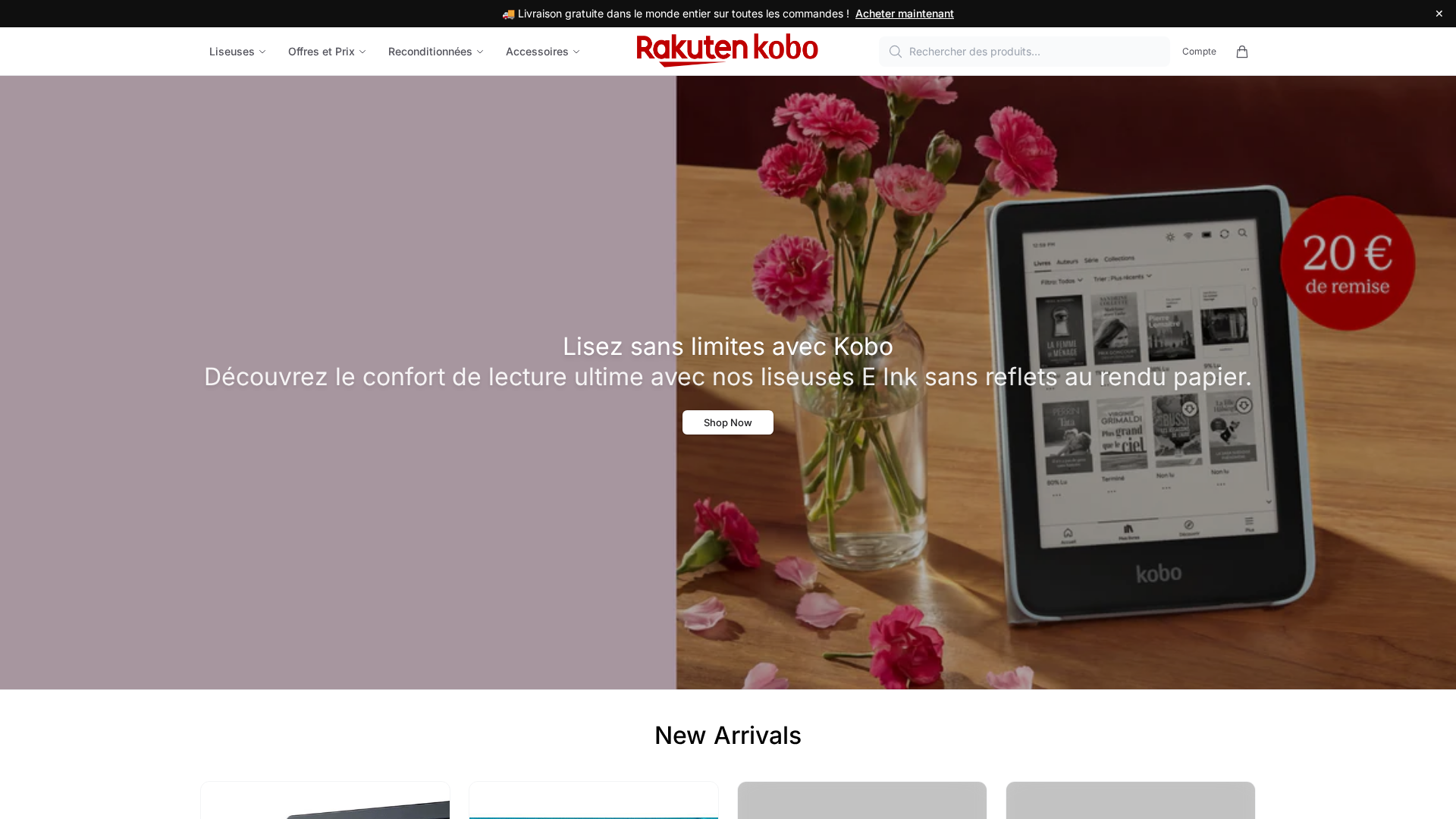 Screenshot of kobobookhub.shop