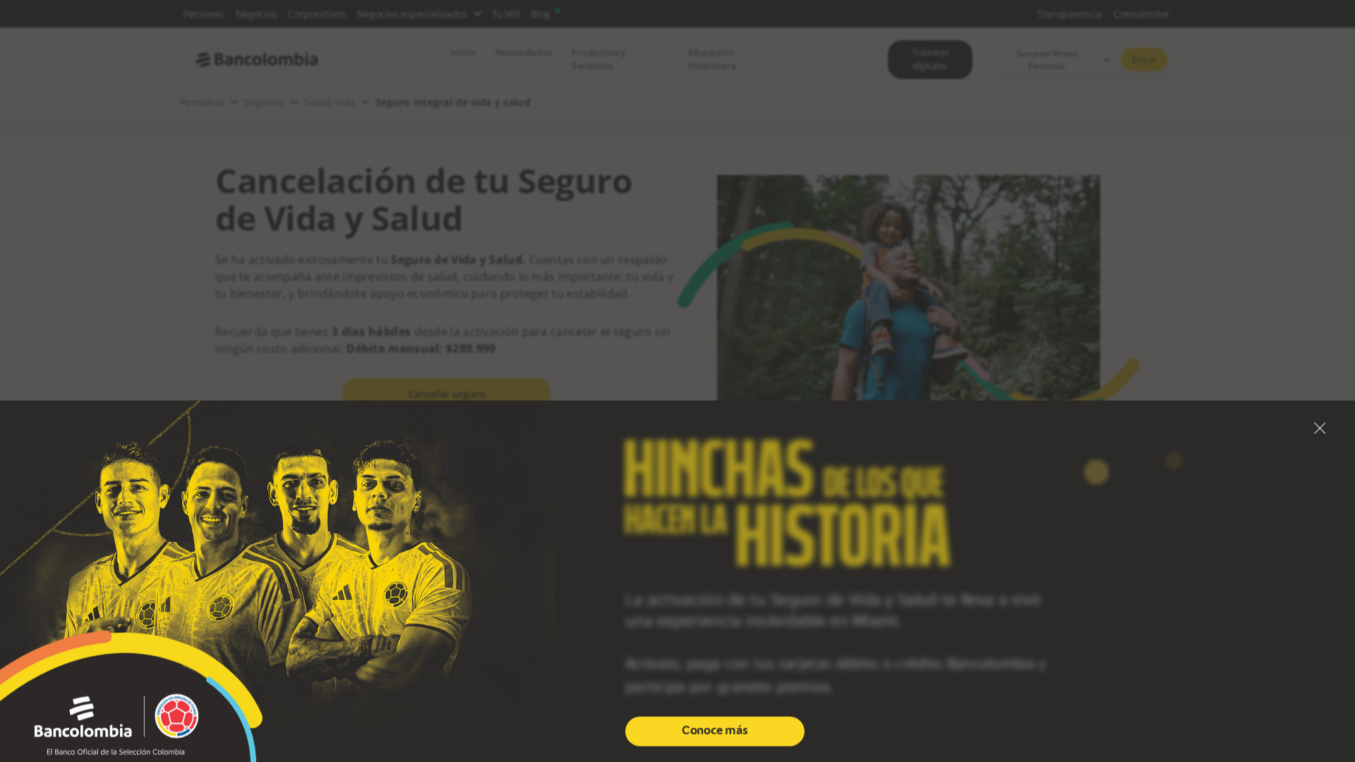 Screenshot of www.surainforseg.com