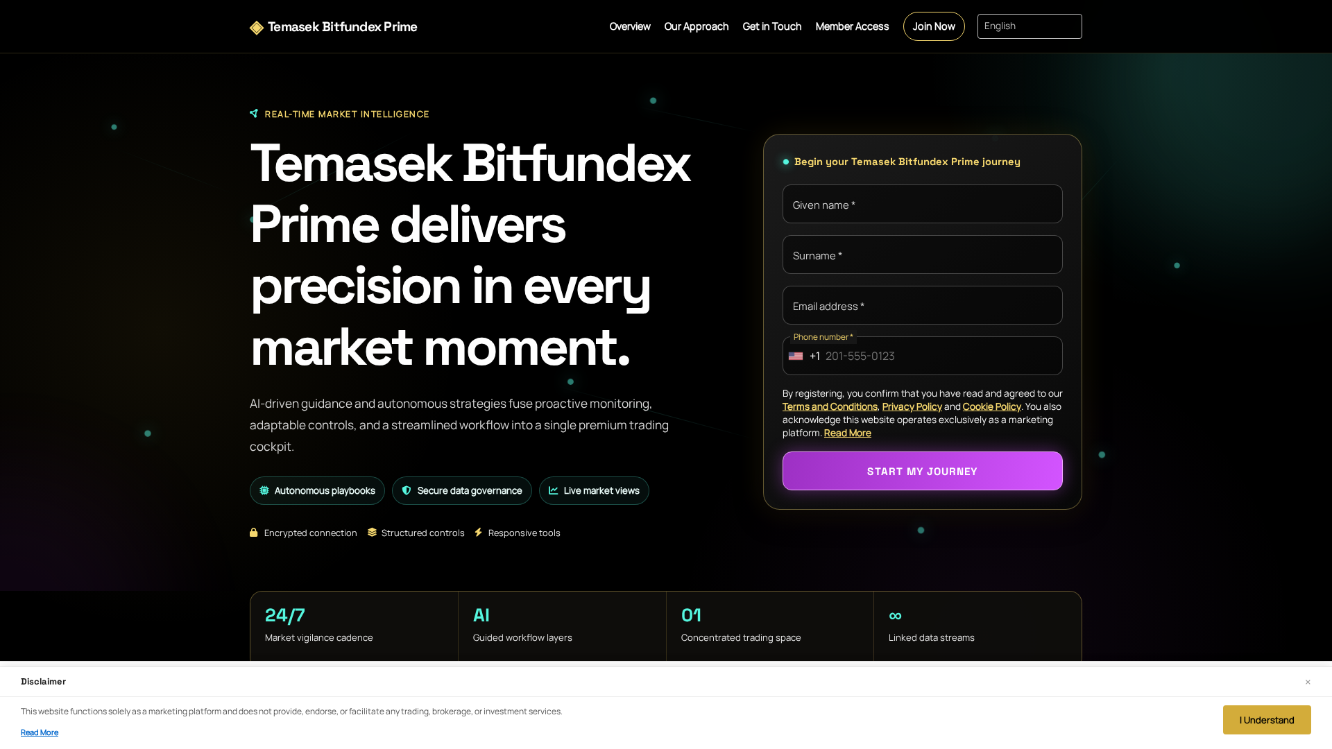 Screenshot of temasekbitfundexprime.digital