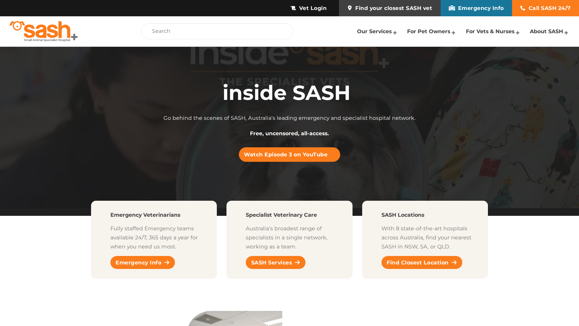Screenshot of cdn.gosafemode.com