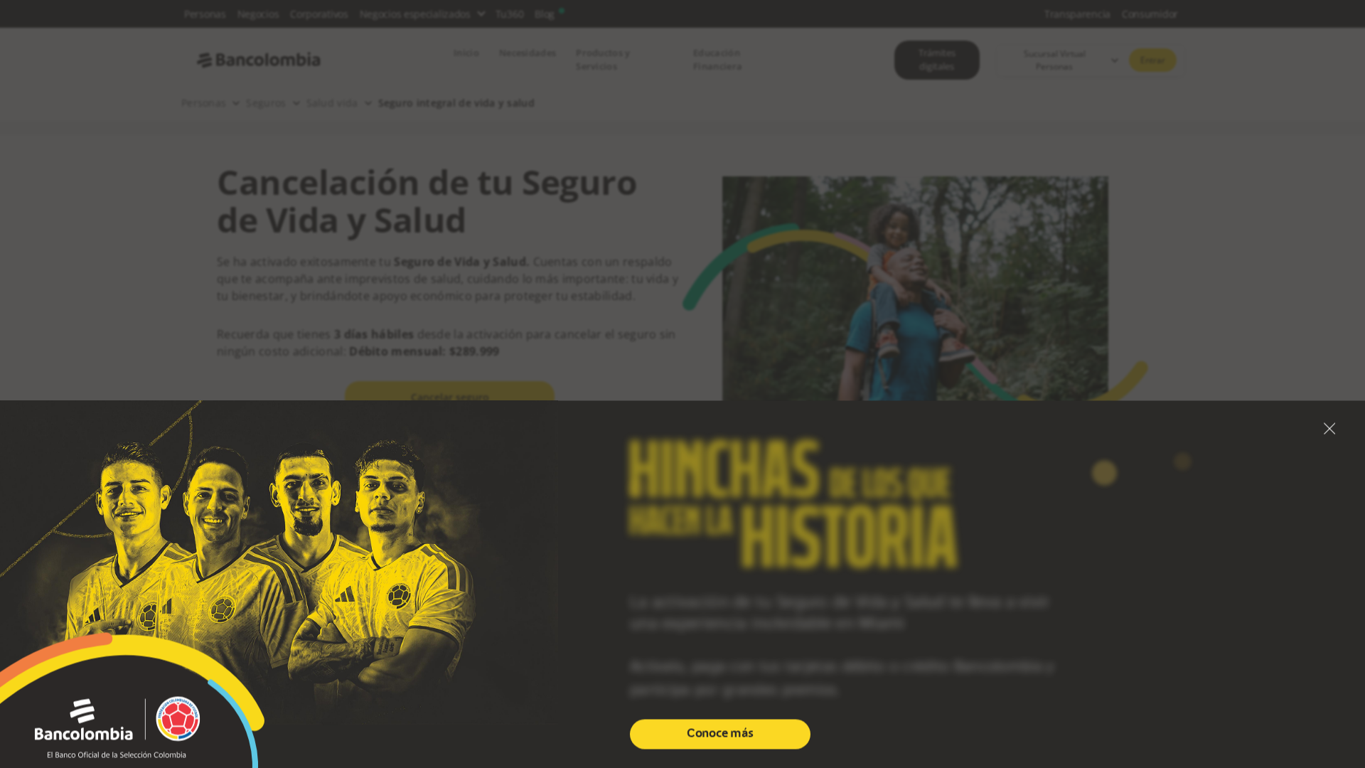 Screenshot of www.alzseguro.com