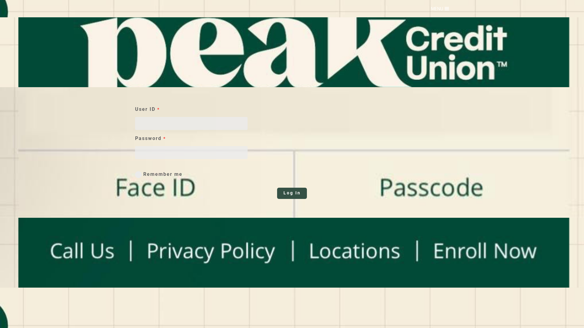 Screenshot of helpinfopeakdskpurr.weebly.com