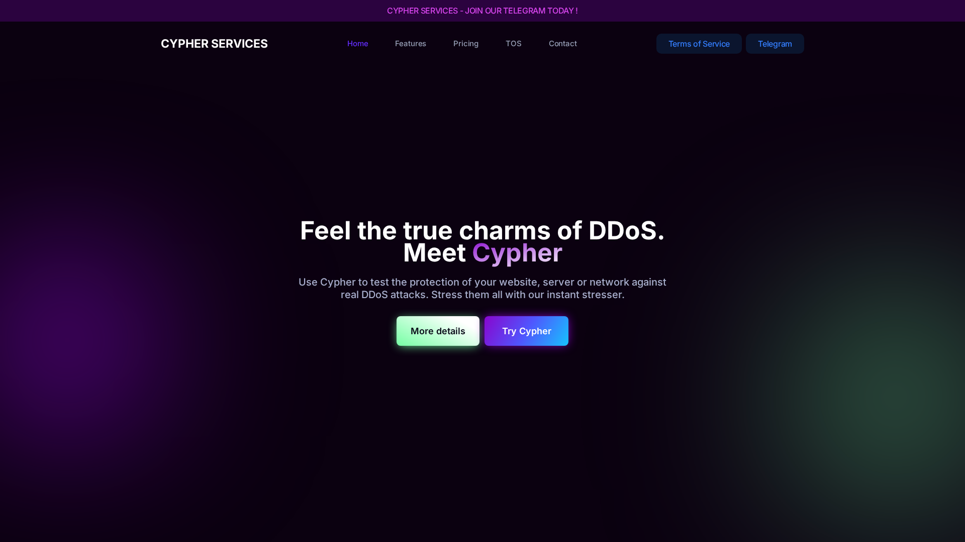 Screenshot of government.st