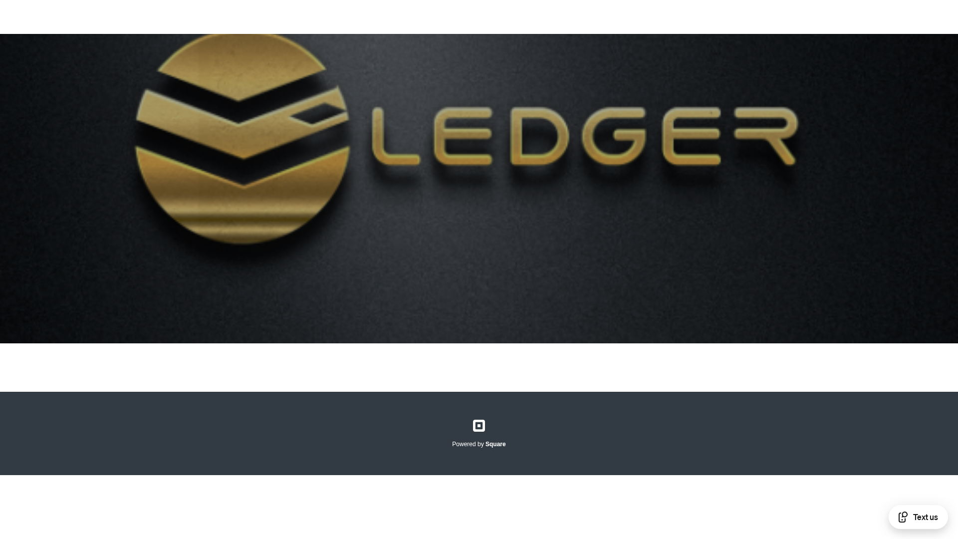 Screenshot of ledgr-login-io.square.site
