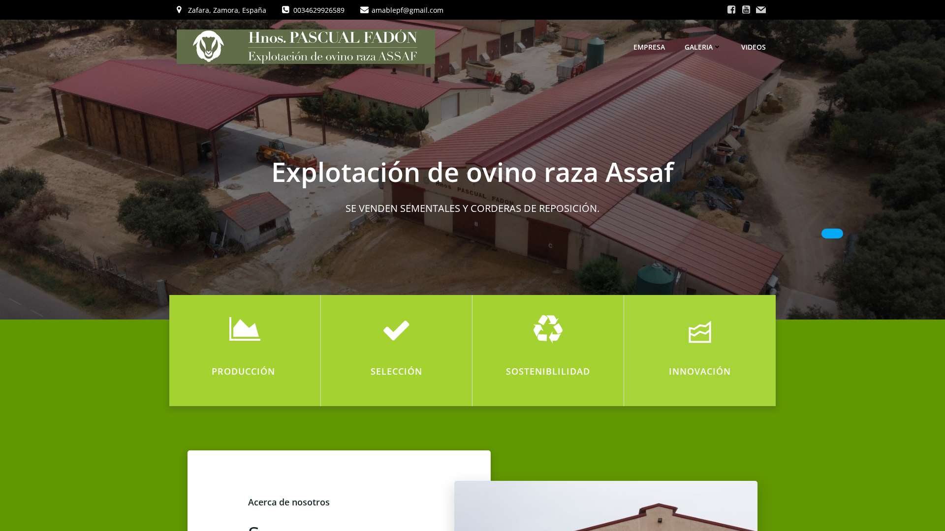 Screenshot of cdn.gosafemode.com