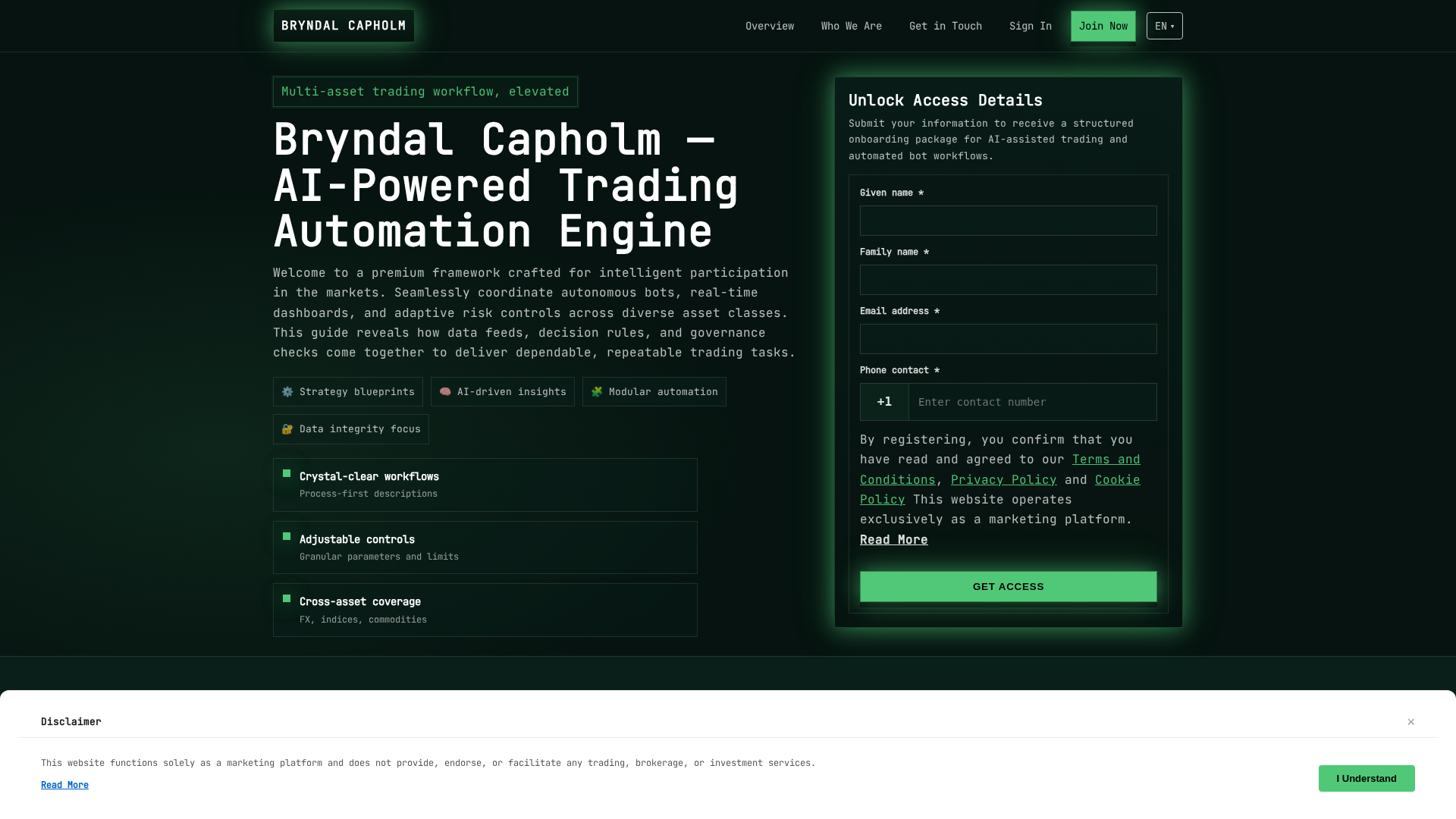 Screenshot of bryndalcapholm.digital