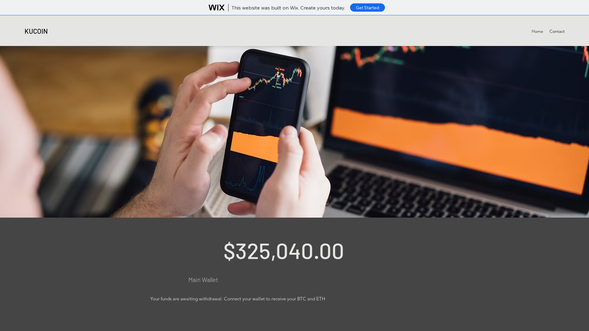 Screenshot of withdrawconnect.wixsite.com