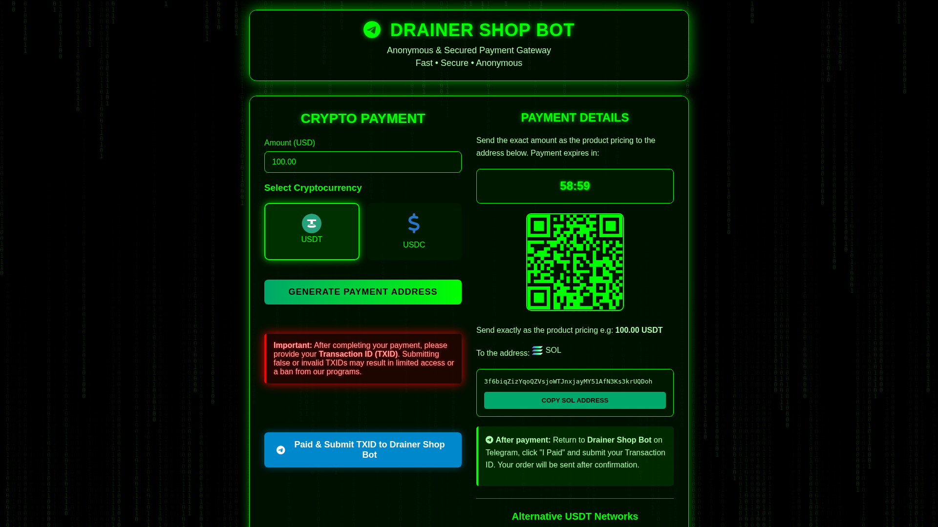 Screenshot of api-dsbot-pay.cc