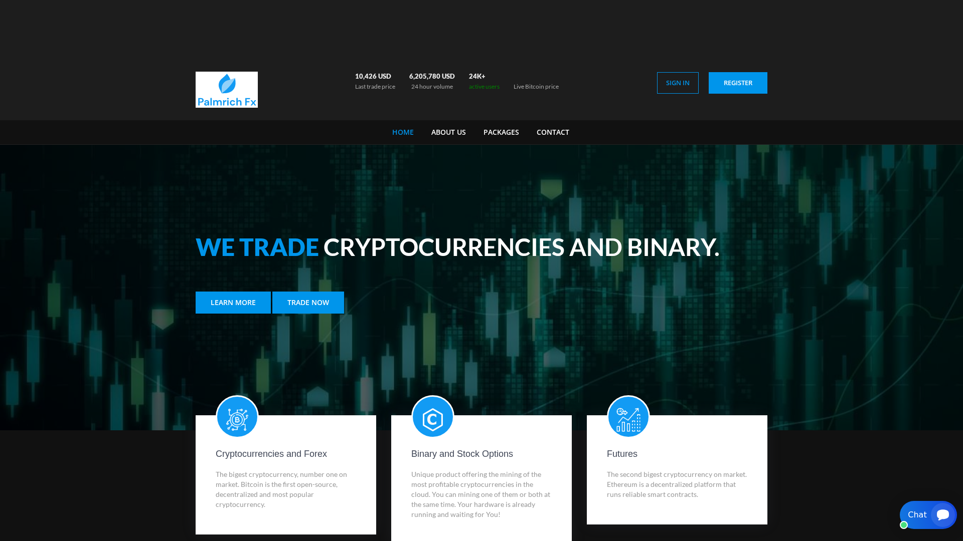 Screenshot of palmrichfx.com