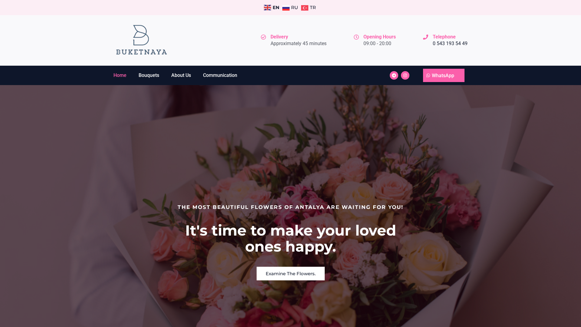 Screenshot of cdn.gosafemode.com