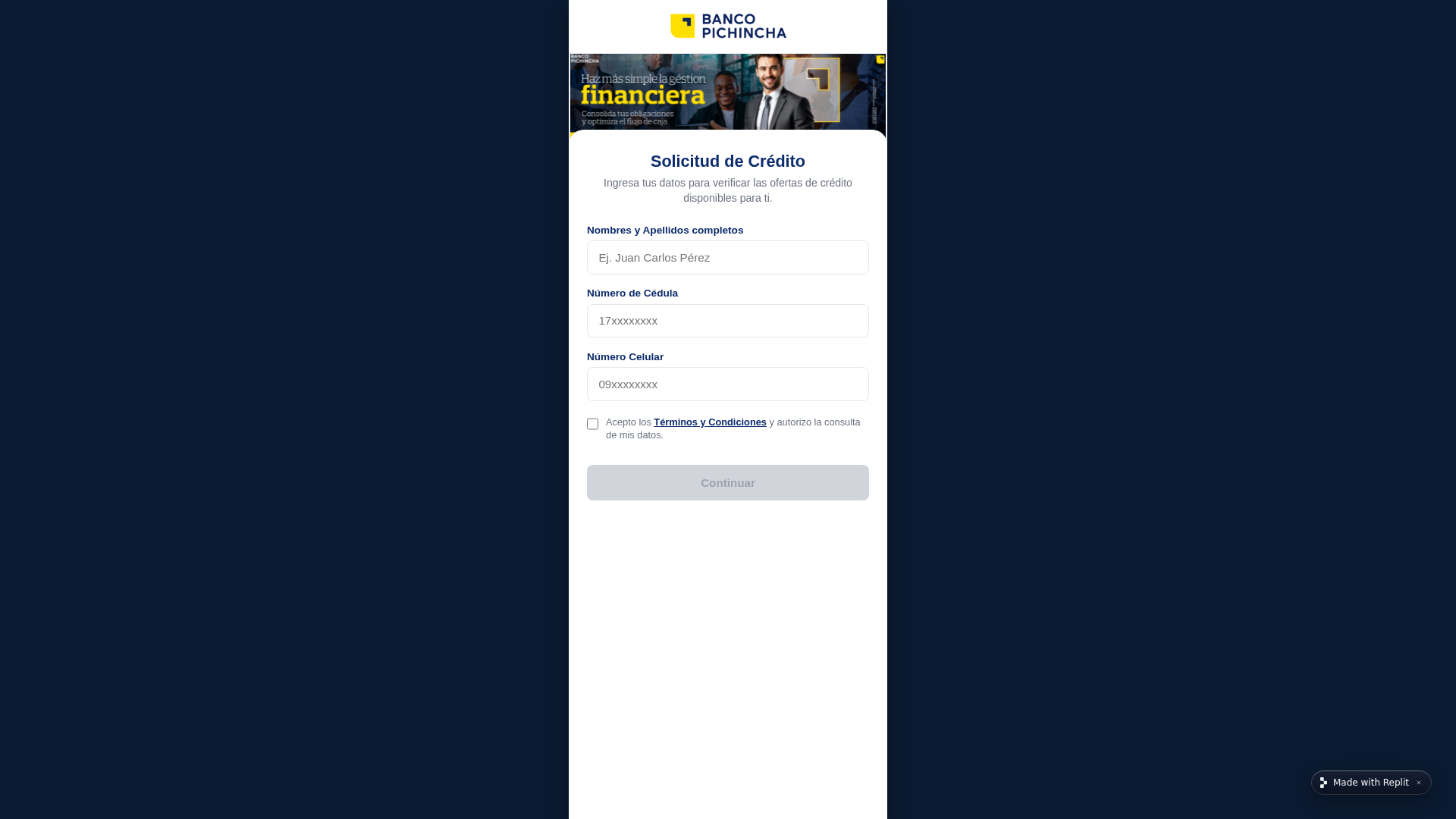 Screenshot of acceso-login-2026--accesopichi.replit.app