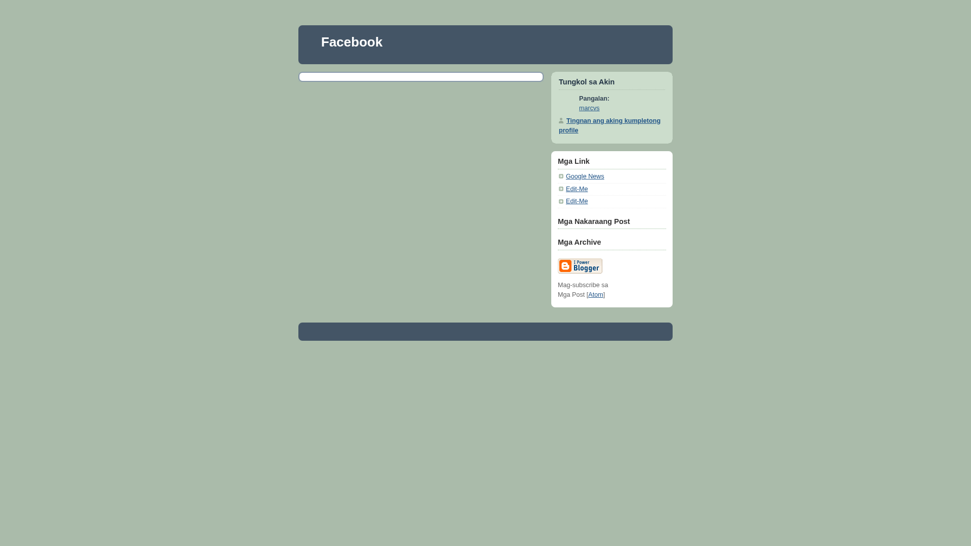 Screenshot of www.facebookverifyyouraccount.blogspot.com