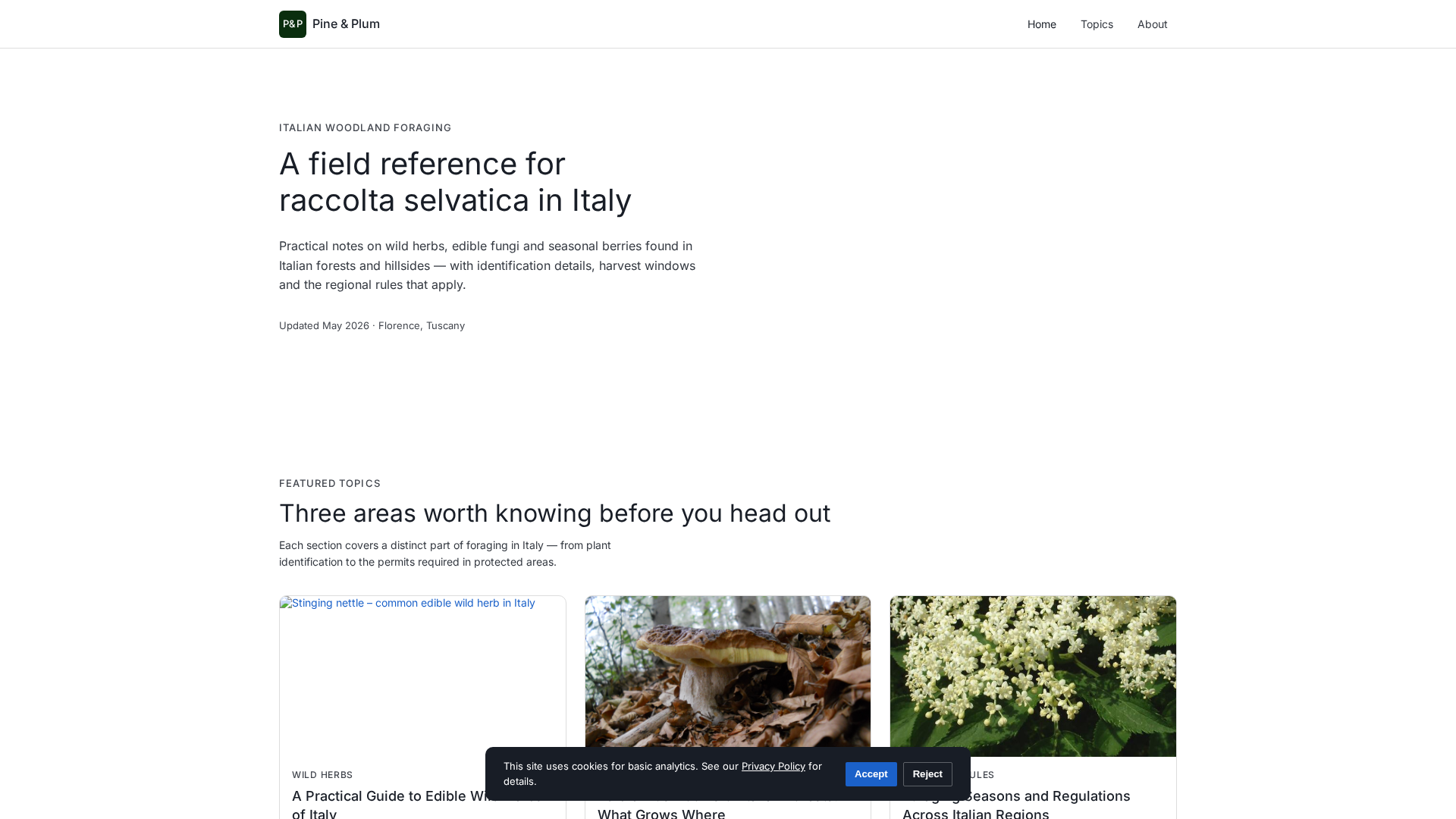 Screenshot of cdn.gosafemode.com