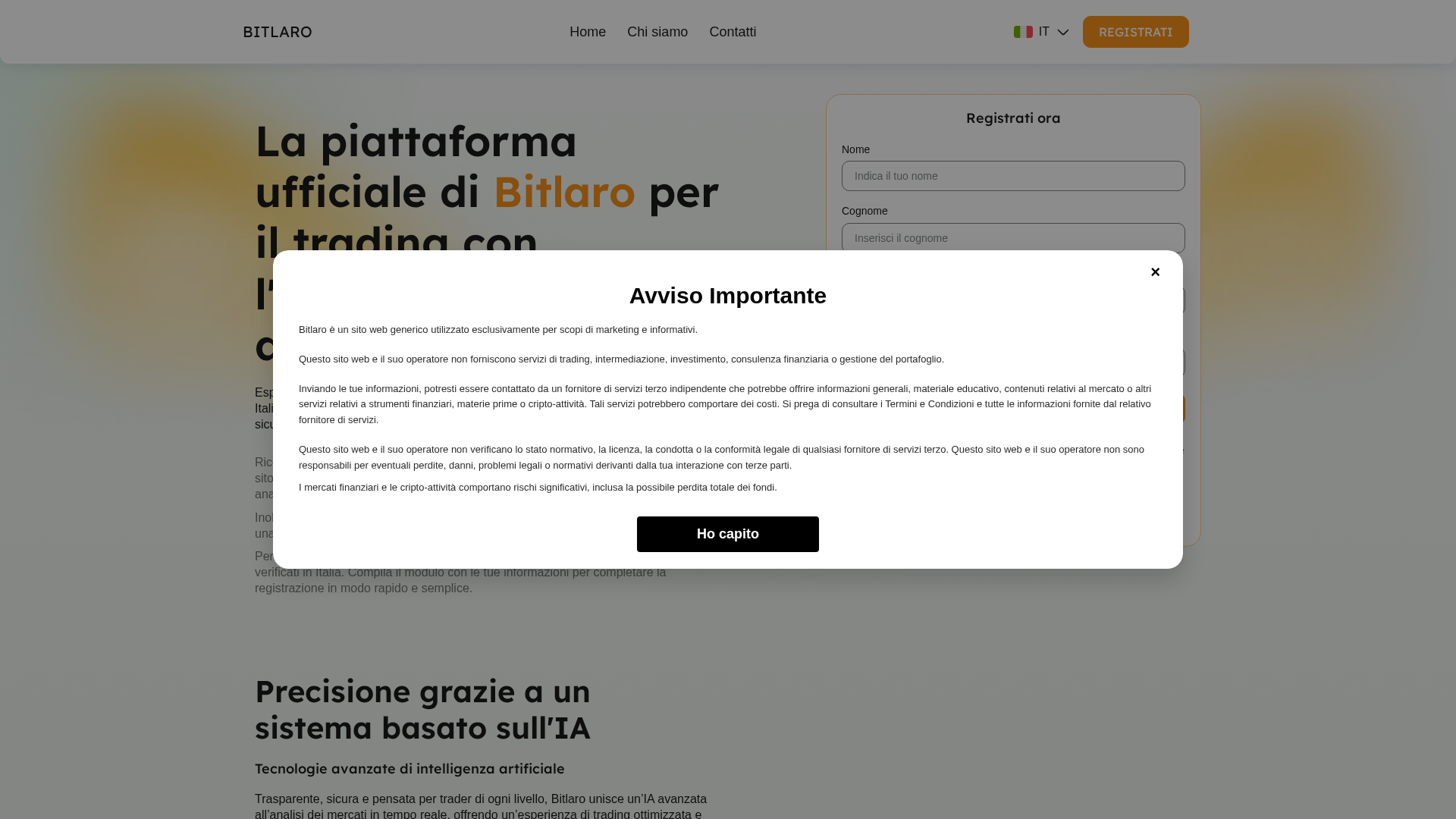 Screenshot of bitlaro-it.com