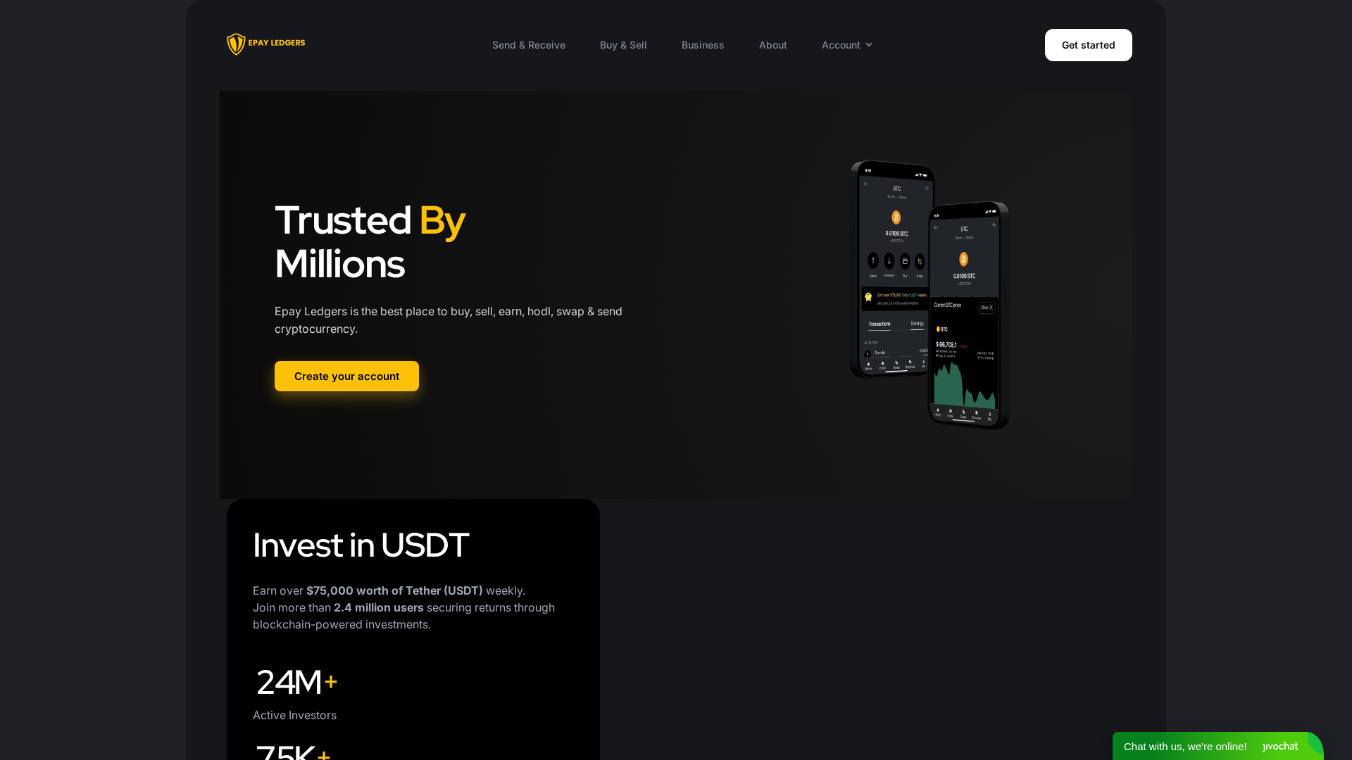 Screenshot of epayledger.com