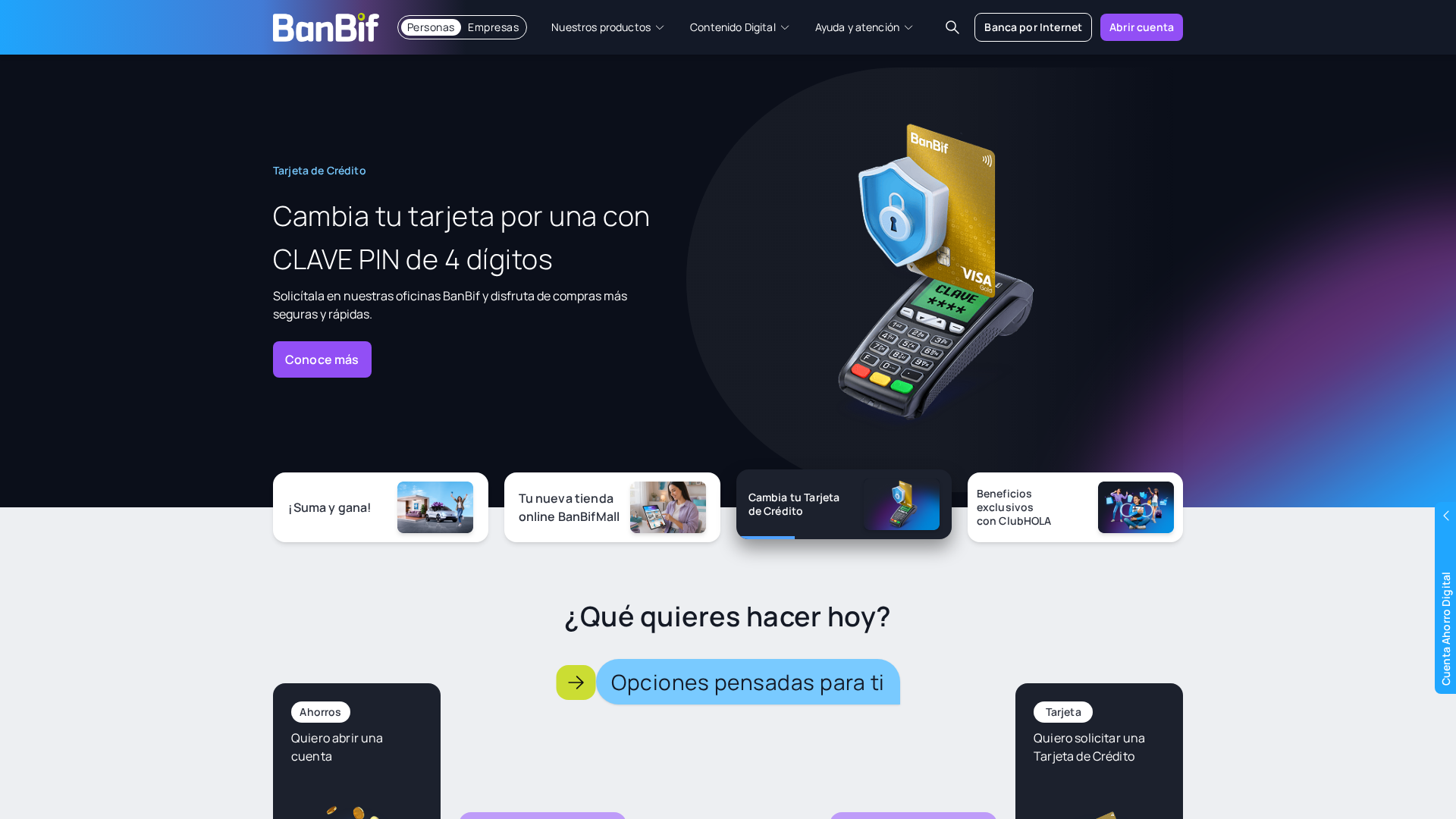 Screenshot of login-pn-reinventabanbif.netlify.app