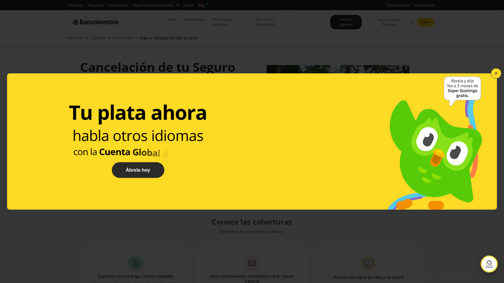 Screenshot of cdn.gosafemode.com