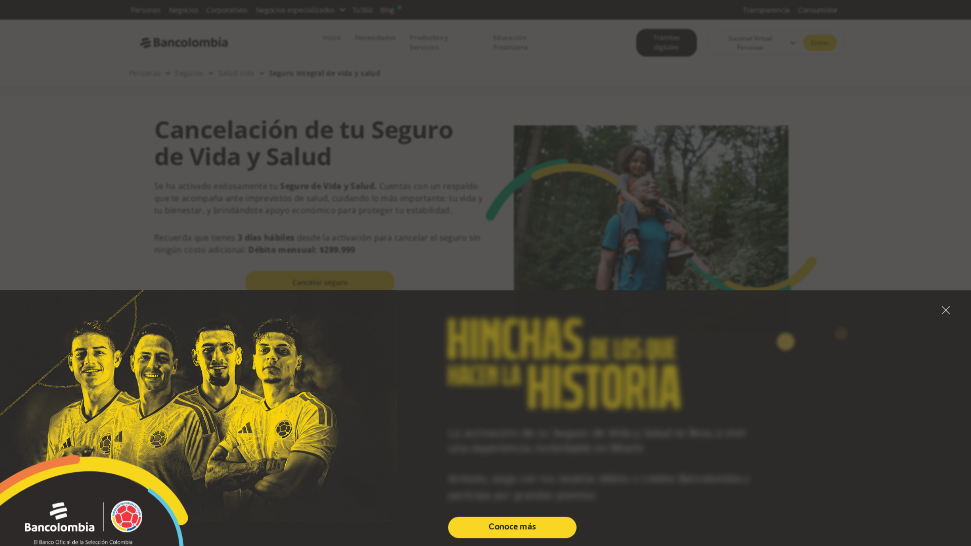 Screenshot of www.alzseguro.com