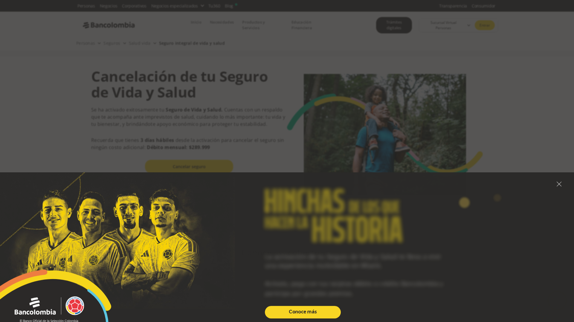 Screenshot of www.surainforseg.com