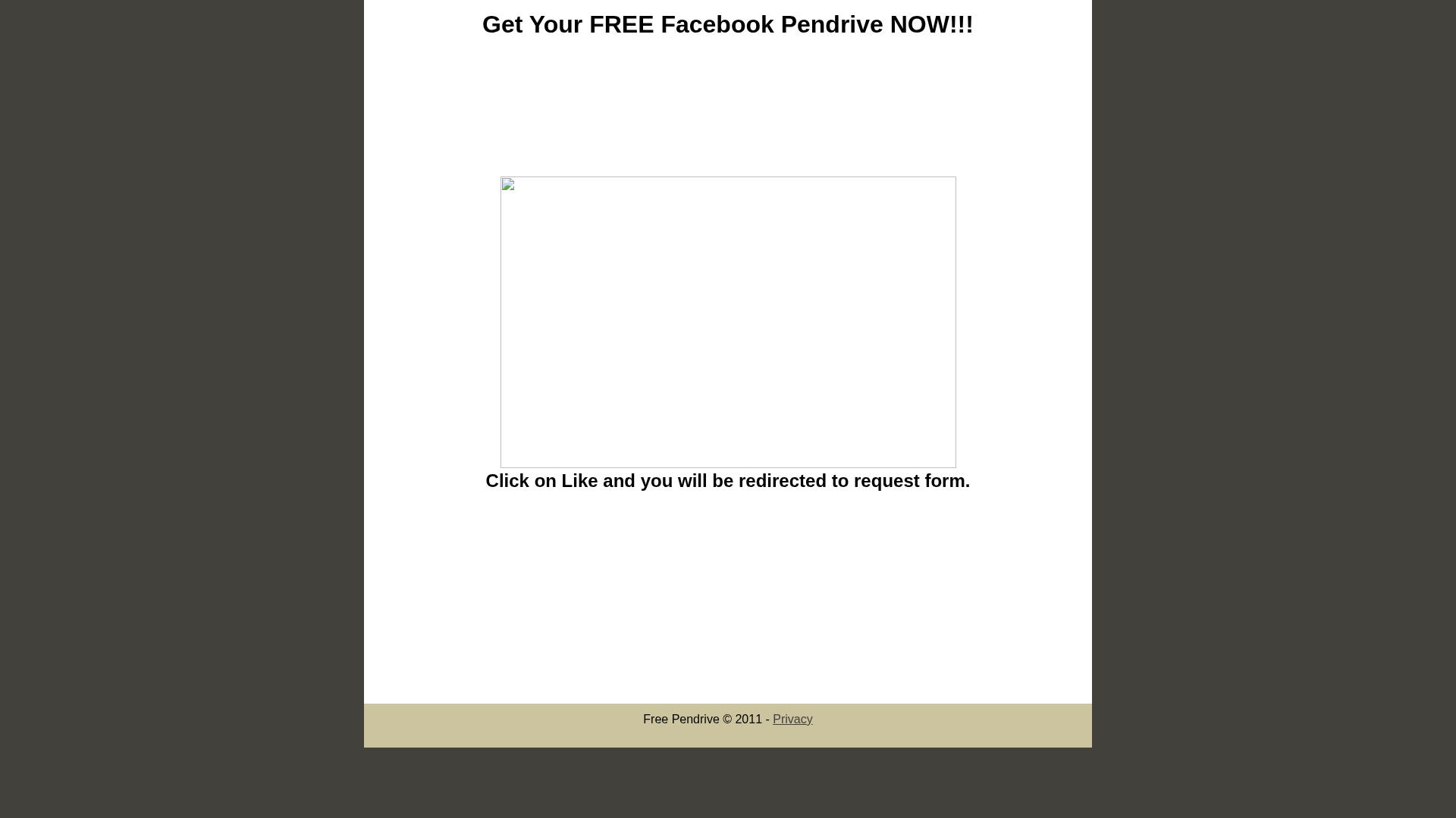 Screenshot of www.faceb00k-pendrive.blogspot.com