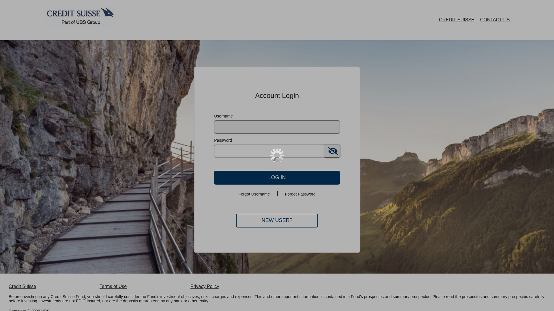 Screenshot of www.secureaccountview.com