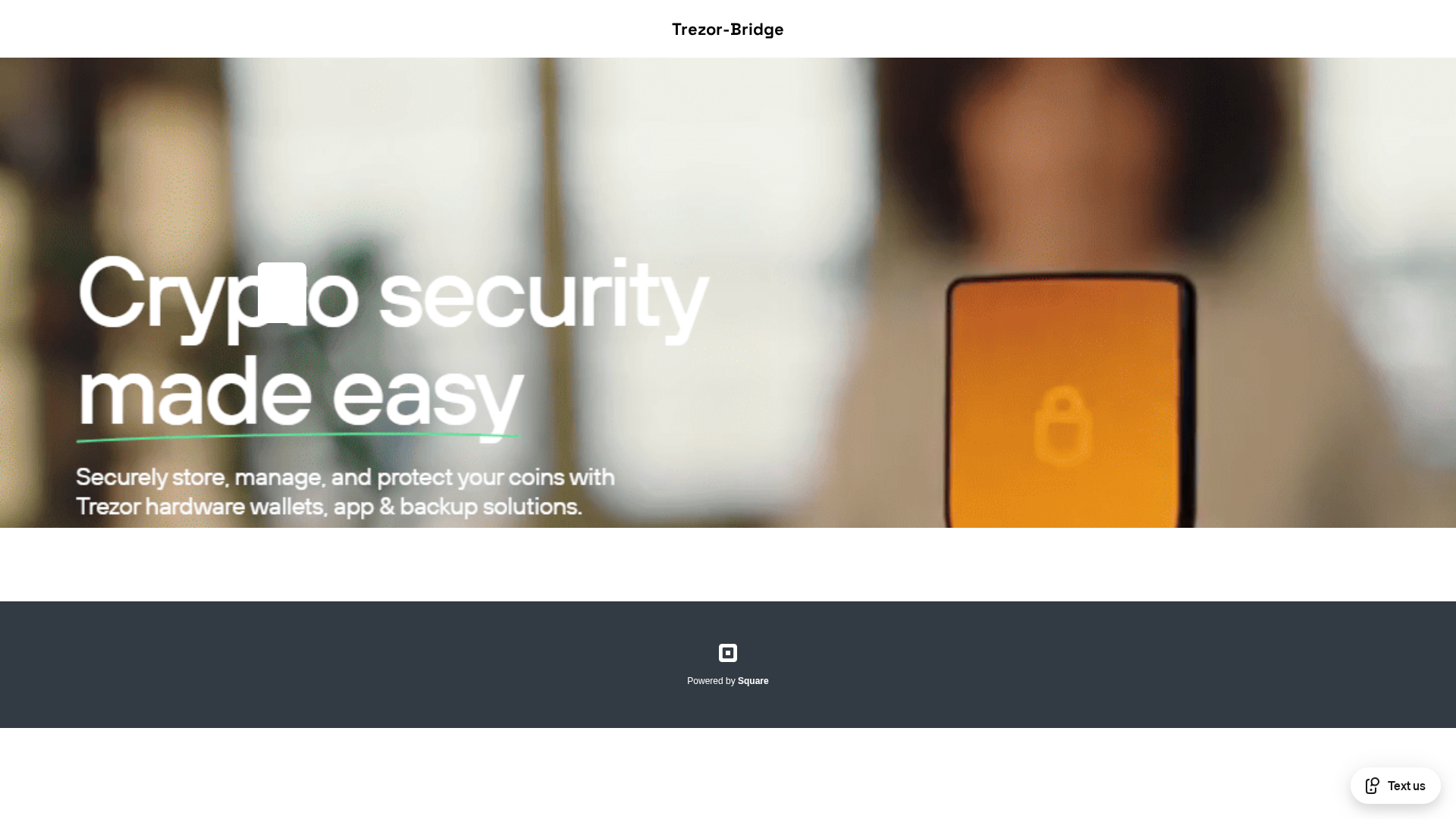 Screenshot of brdg-trazor-io.square.site