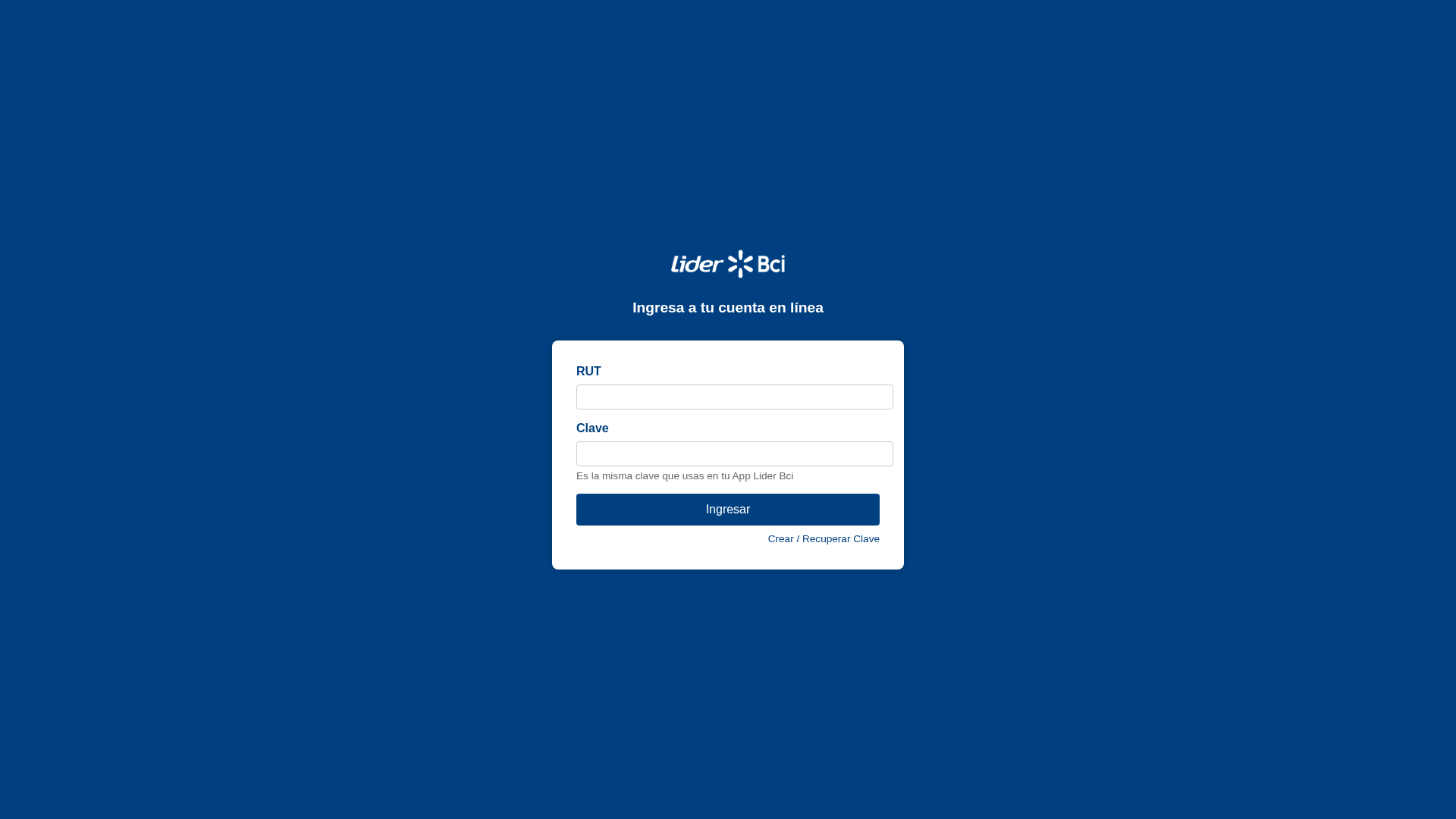 Screenshot of www.lider-servicios.com