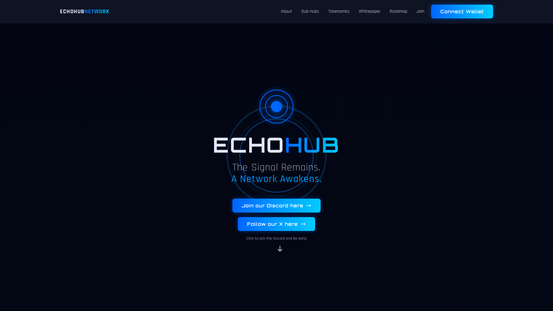 Screenshot of echo-network.com