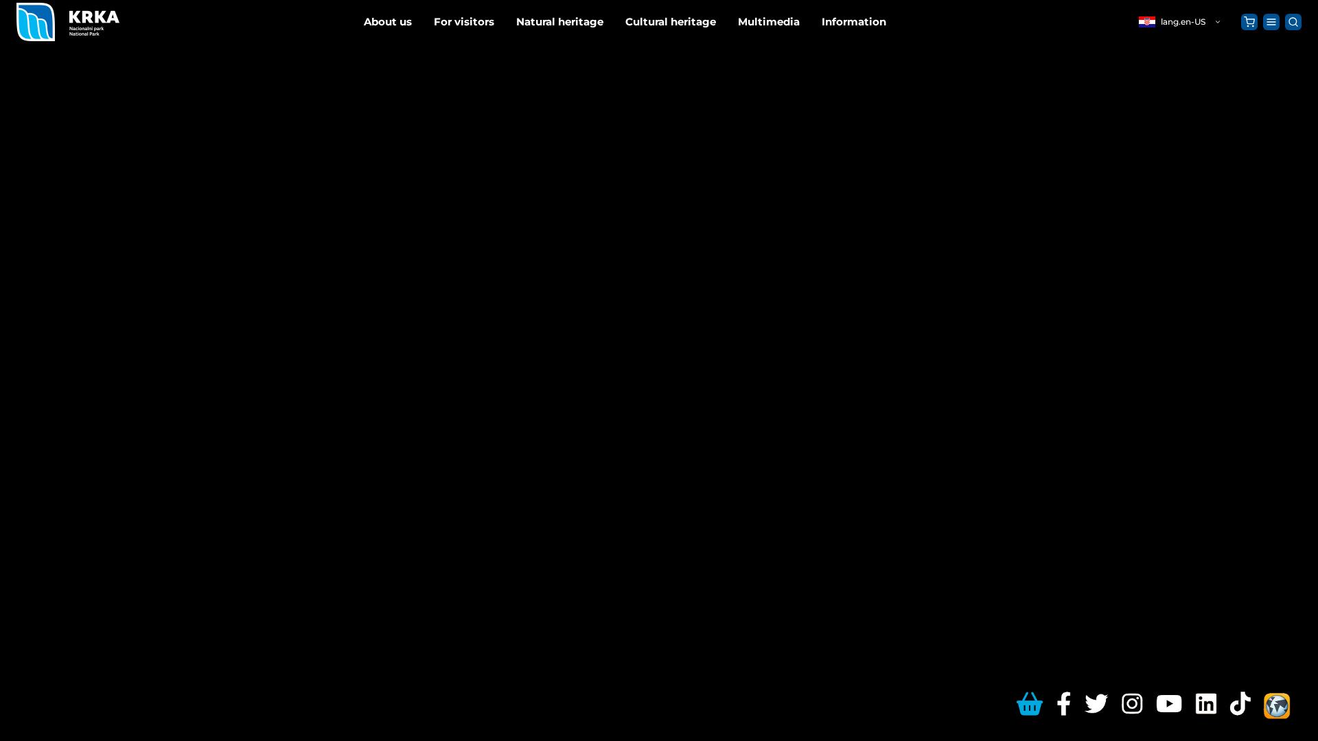 Screenshot of krkahrtickets.com