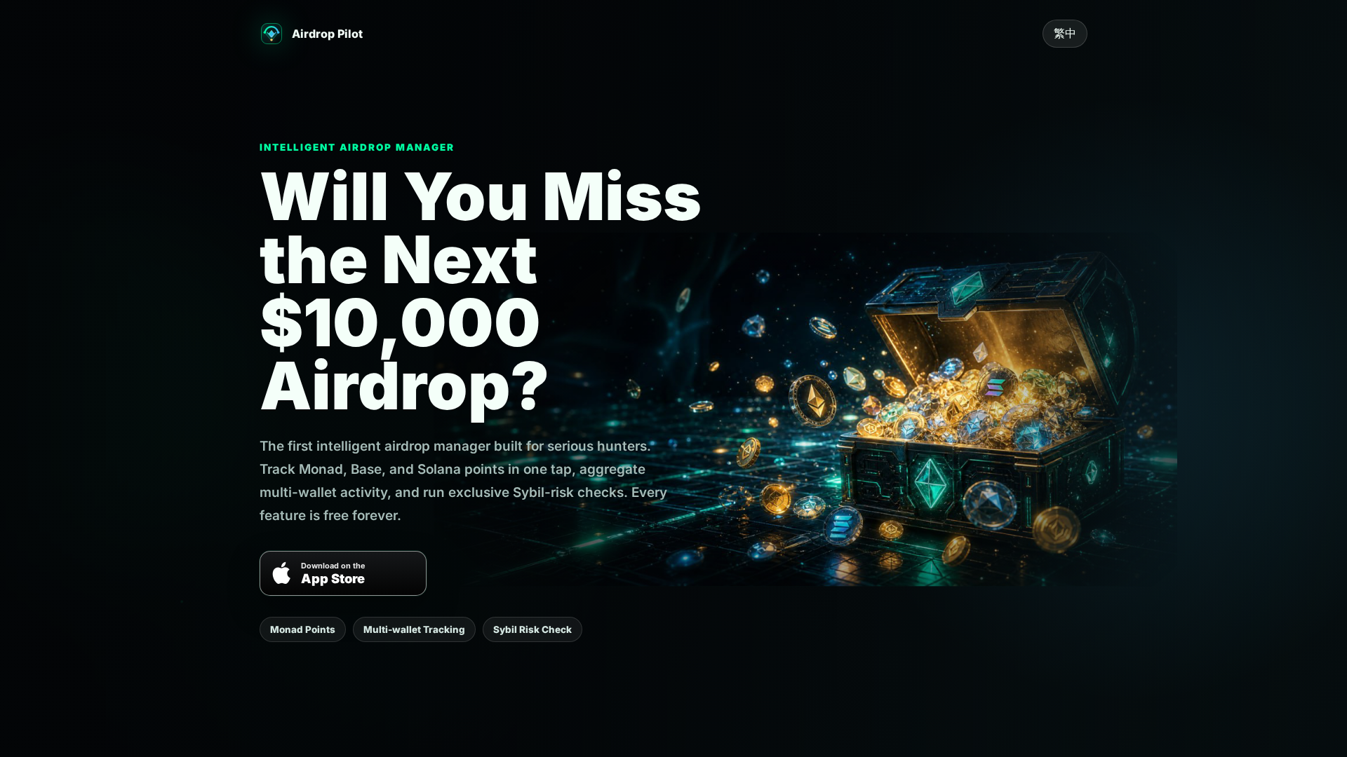 Screenshot of airdroppilot.mom