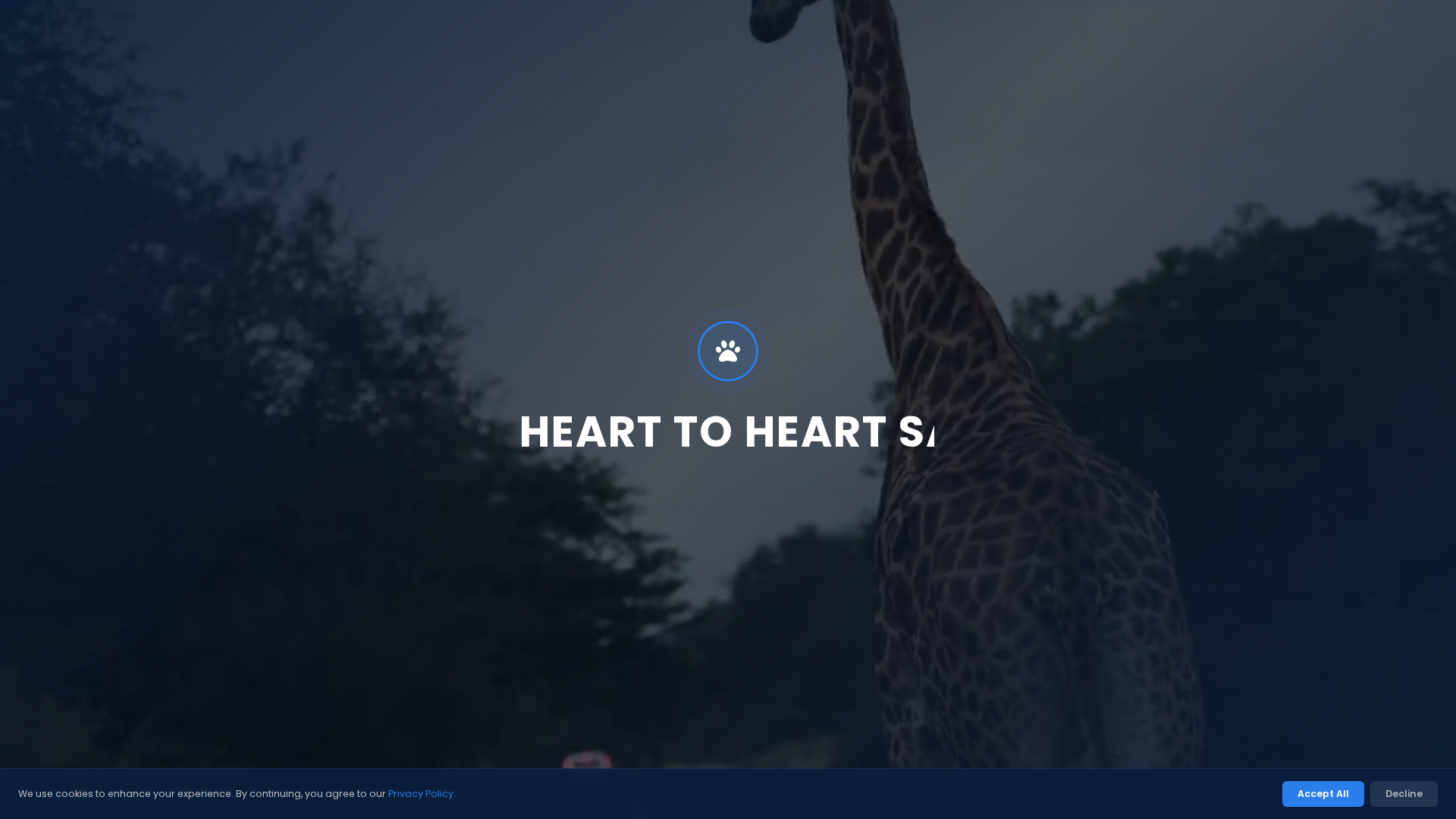 Screenshot of hearttohearttraveltours.com