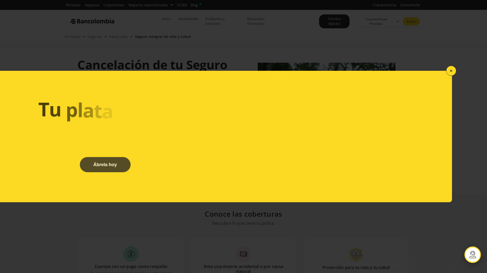 Screenshot of www.seguroalz.com
