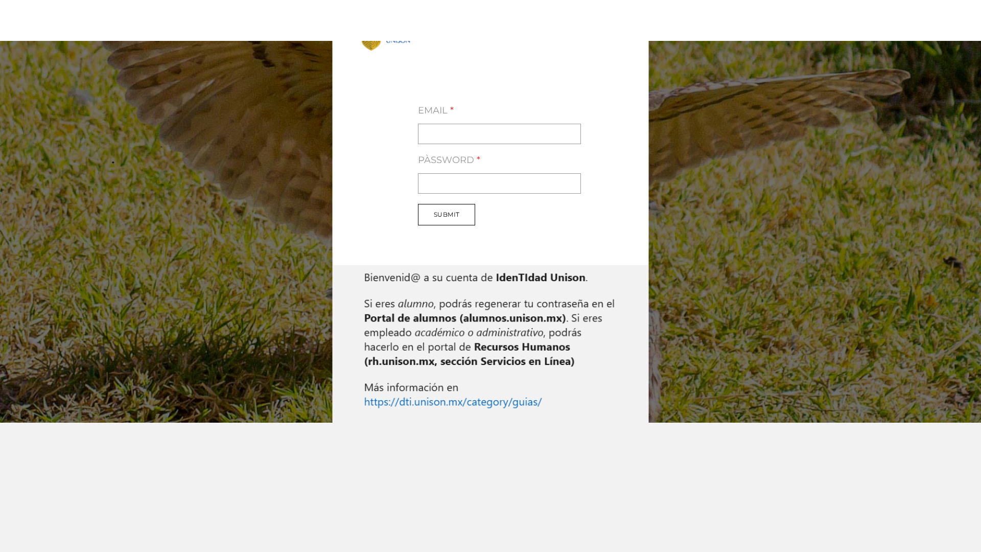 Screenshot of update1unison.weebly.com