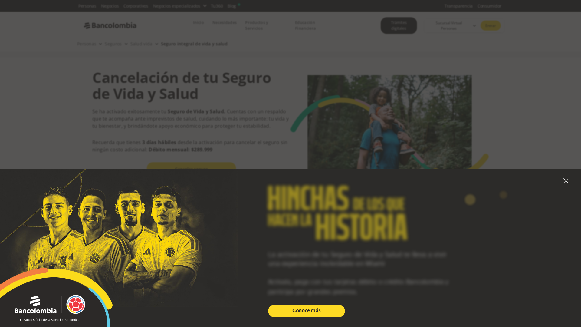 Screenshot of www.gestionsegalz.com