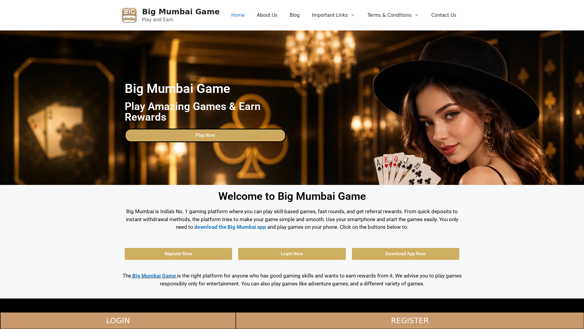 Screenshot of bigmumbaigame.co