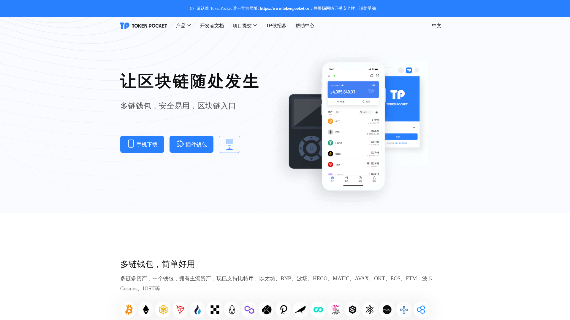 Screenshot of www.tokenpooket.co