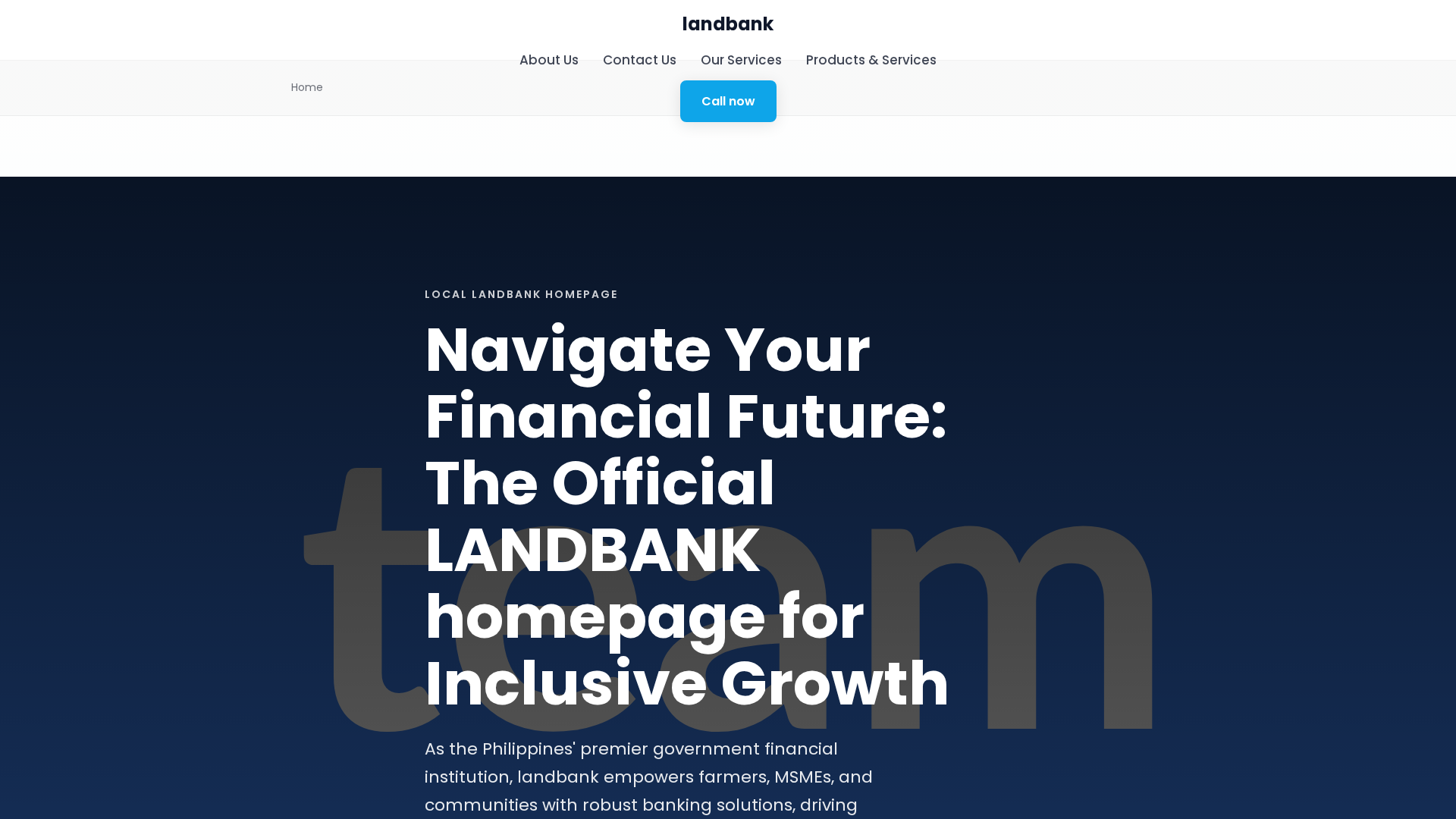 Screenshot of landibonk.co.com