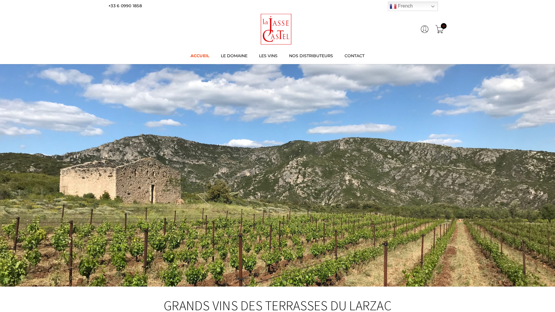 Screenshot of cdn.gosafemode.com