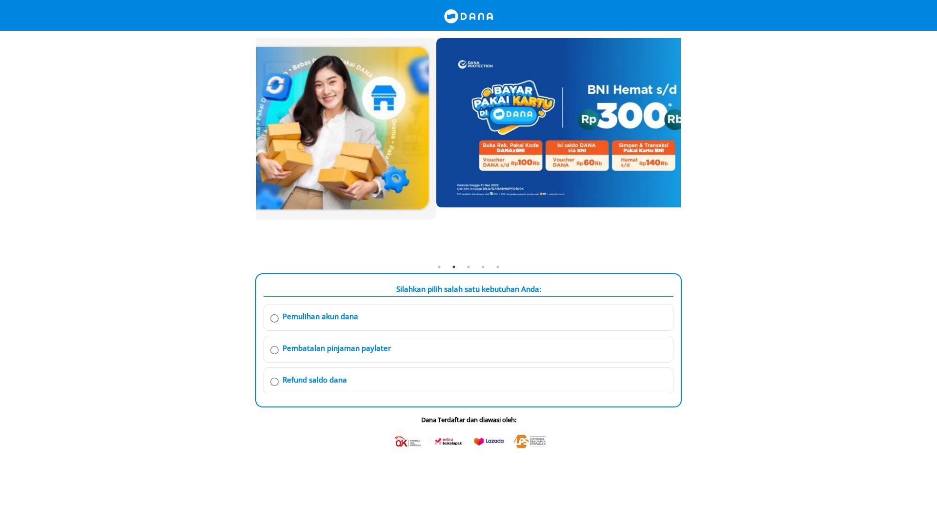 Screenshot of dynnhost.com