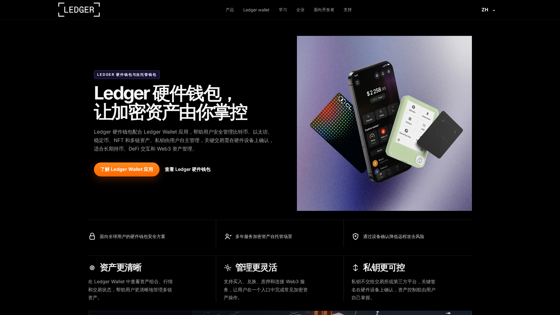 Screenshot of ledgertp.com