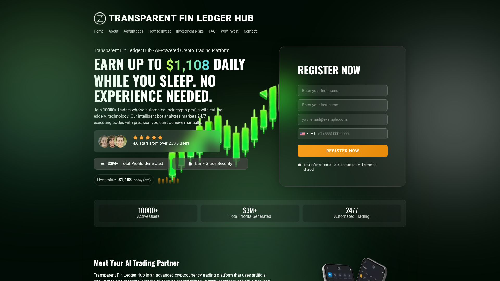 Screenshot of transparentfinledgerhub.com