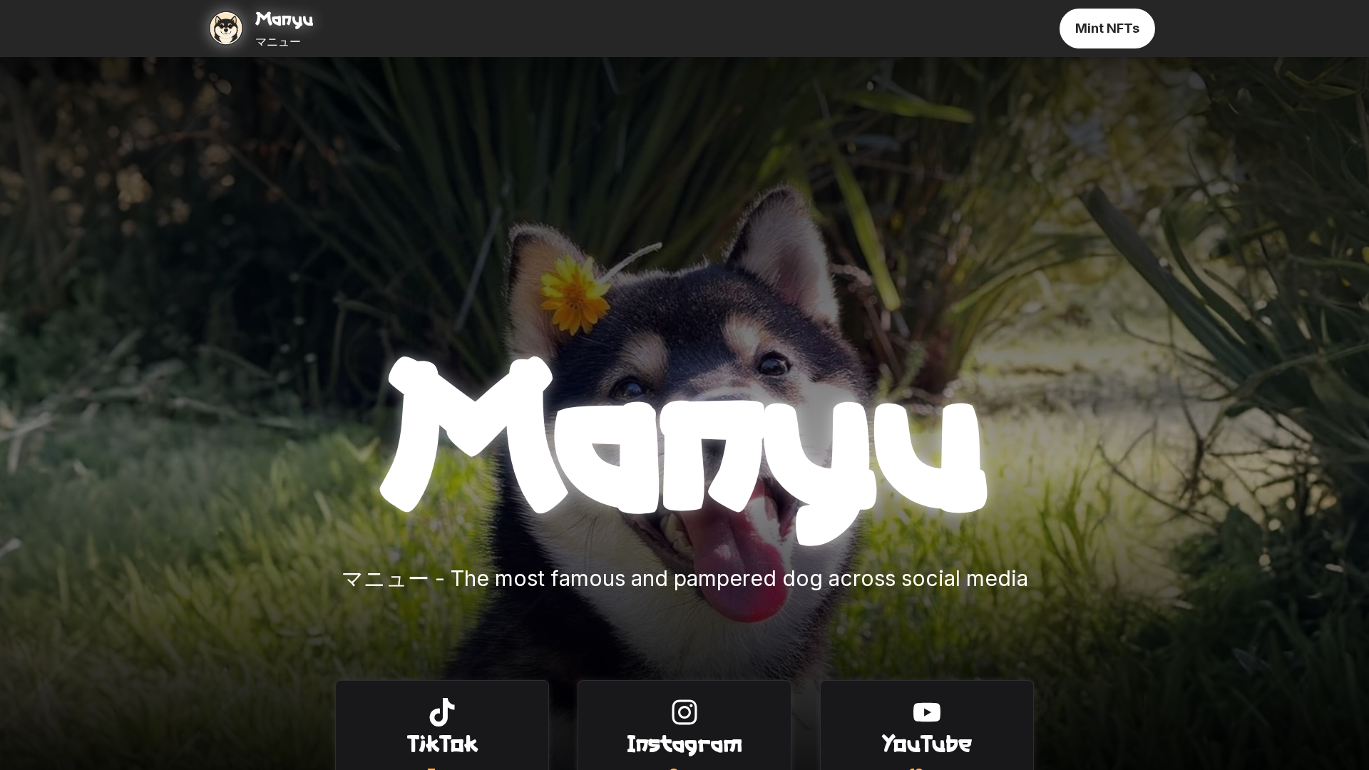 Screenshot of manyushlba.live