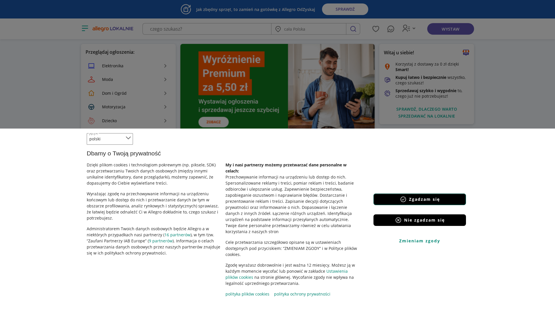 Screenshot of allegrolokalnie.171328482-wszystkie.shop
