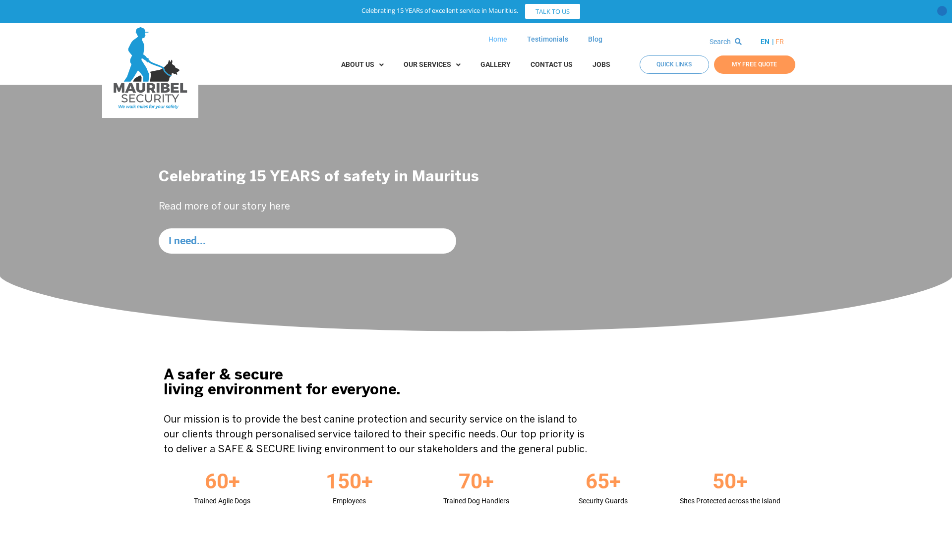 Screenshot of cdn.gosafemode.com