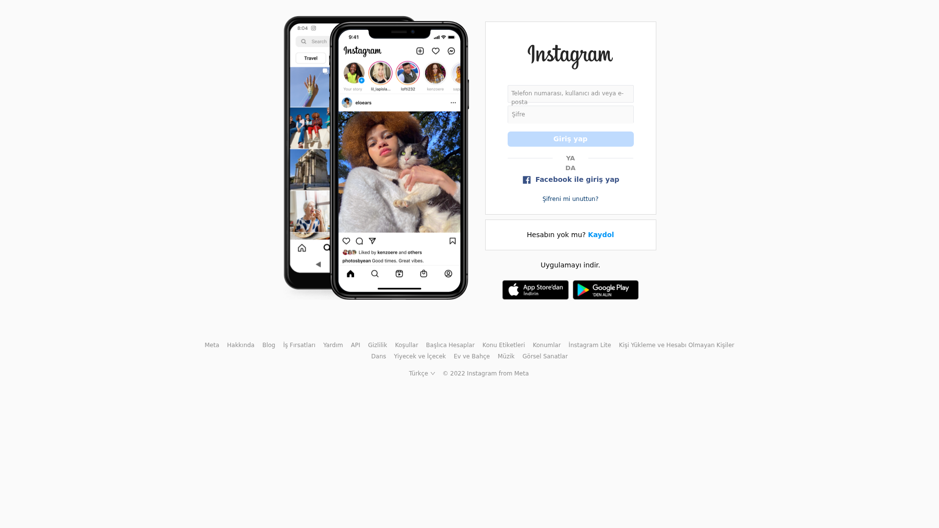 Screenshot of www.instagram-login-page-theta.vercel.app