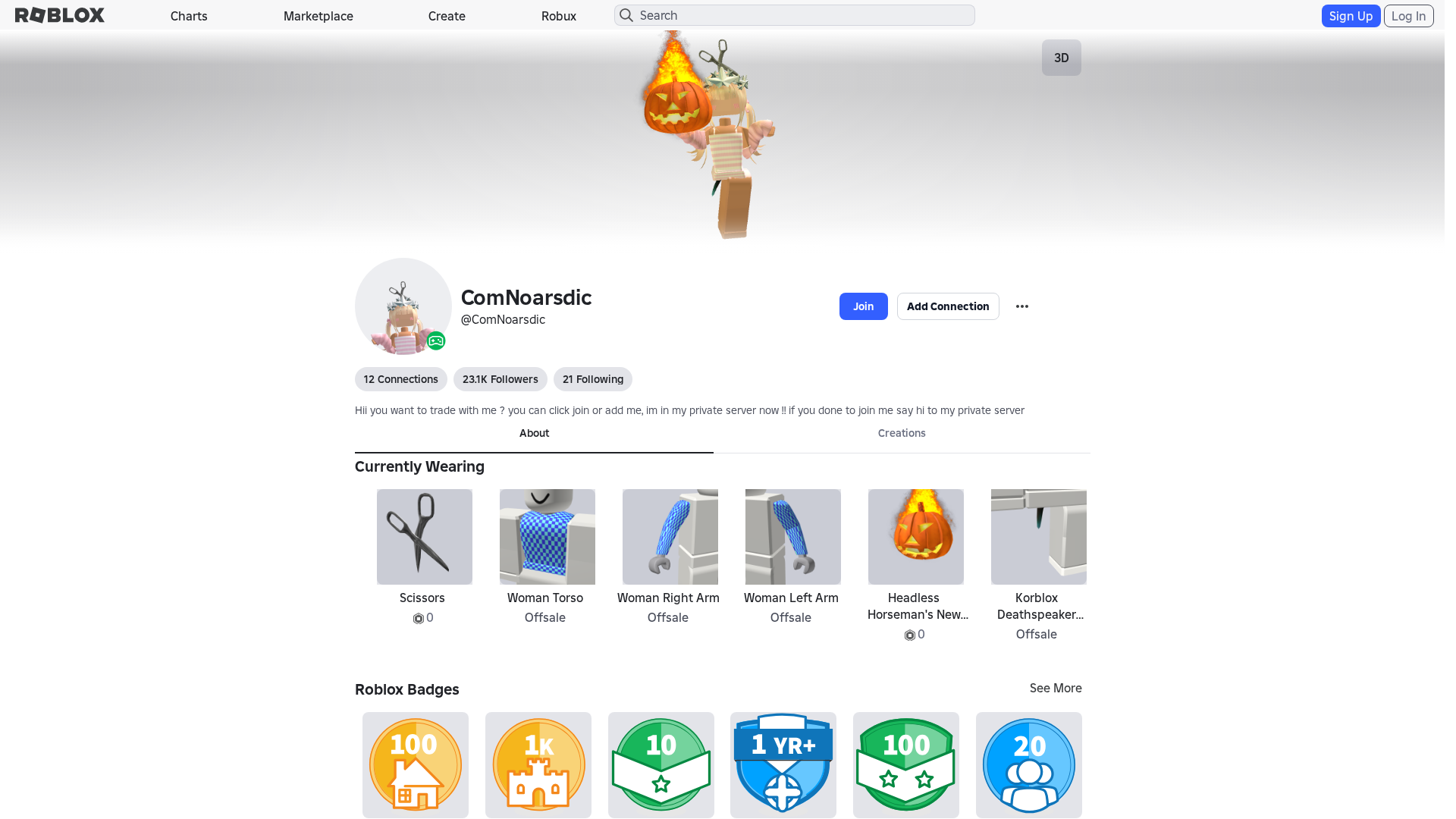 Screenshot of www.robiox.co.in