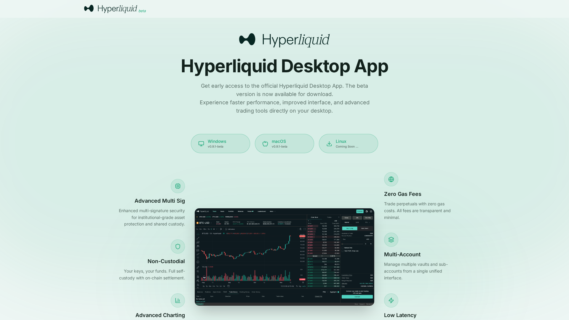 Screenshot of hyperliquidbeta.xyz